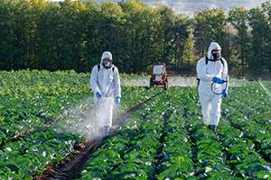 Two man spraying a field with a pesticide.